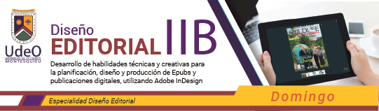 banner editorial IIB